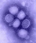 H1N1 virus can cause serious infections in pregnant women.